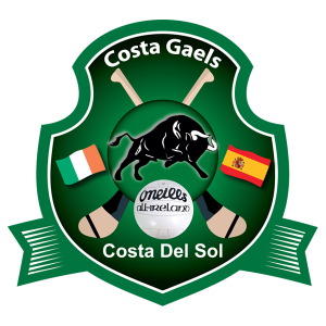 Escudo oficial de Costa Gaels